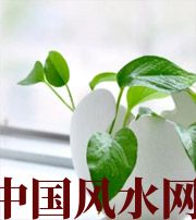宿州家中摆放六种吉祥物，会打开您的财运大门！