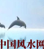 宿州做梦梦到这些，是要富裕的征兆！